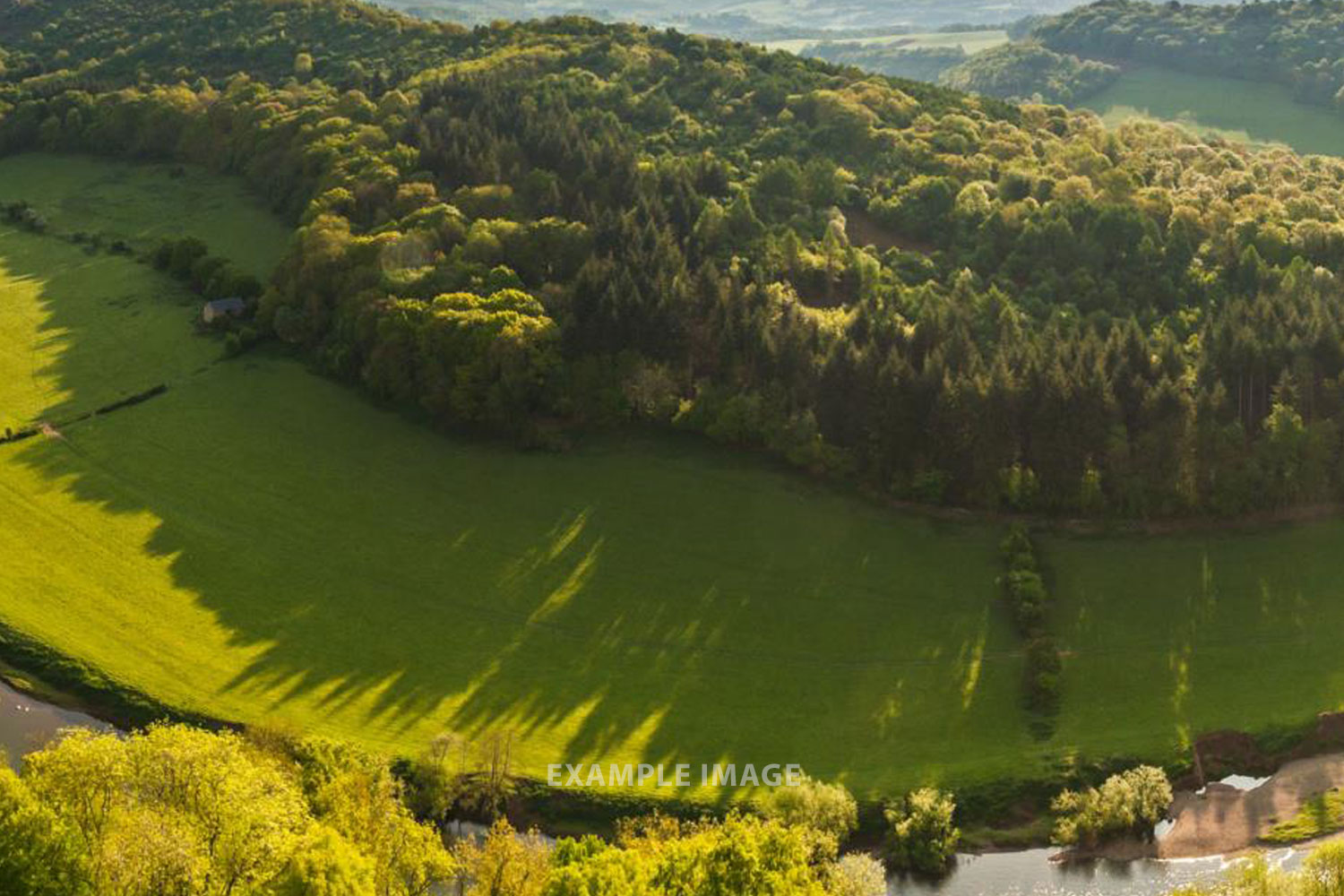 Forest of Dean Wye
